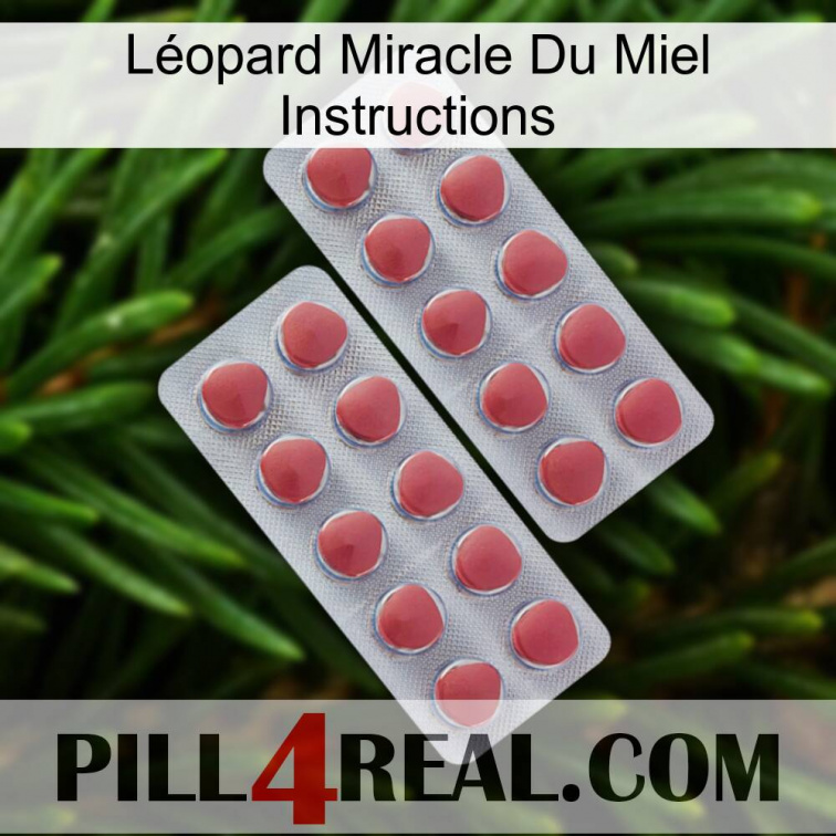 Léopard Miracle Du Miel Instructions 19